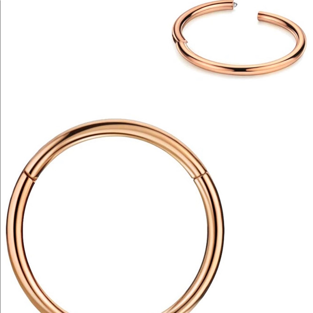 Nose ring / earring